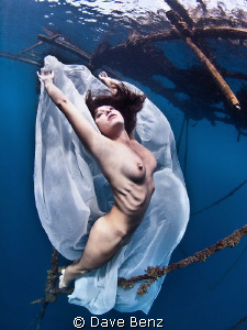 Underwater model shooting together with mermaid Nadine (u... by Dave Benz 